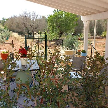 Villa Aurora سانتا ماريا أل بانيو المظهر الخارجي الصورة