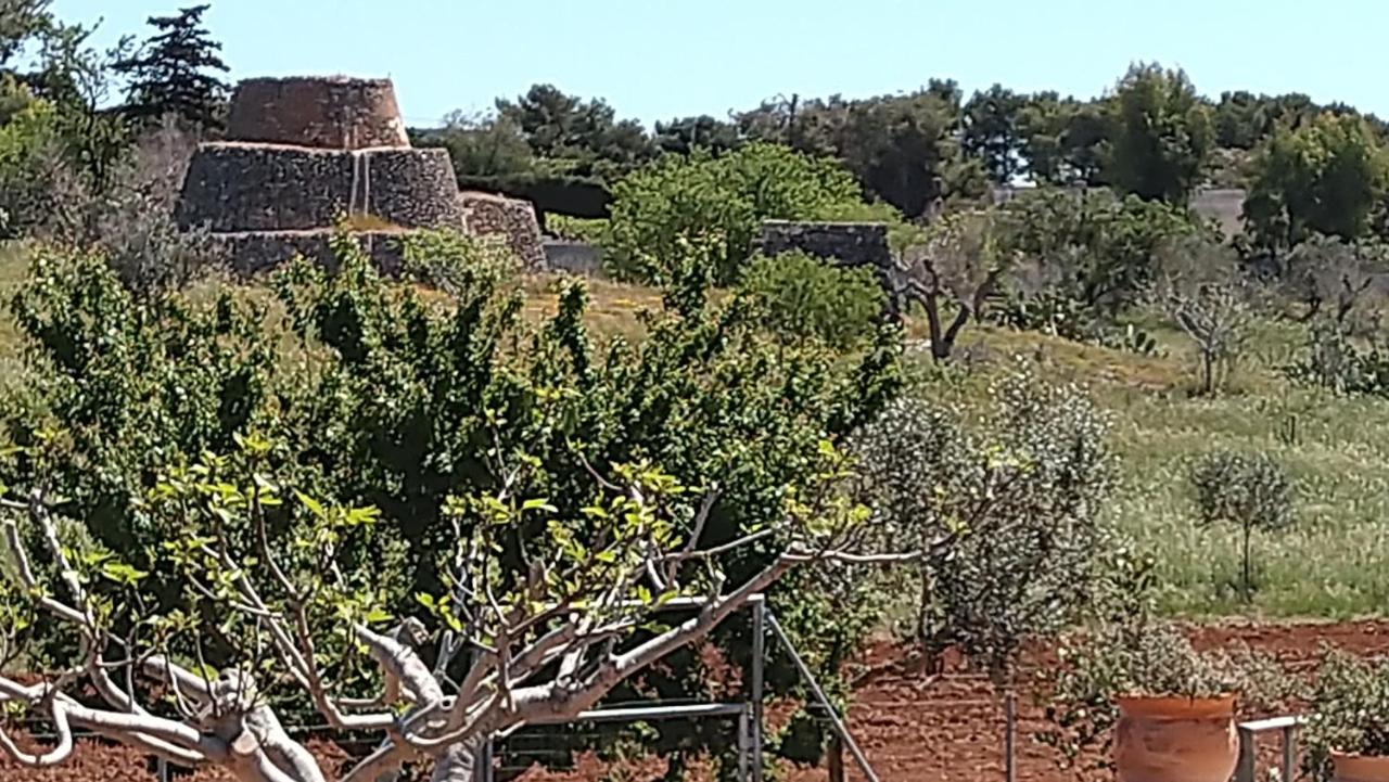 Villa Aurora سانتا ماريا أل بانيو المظهر الخارجي الصورة